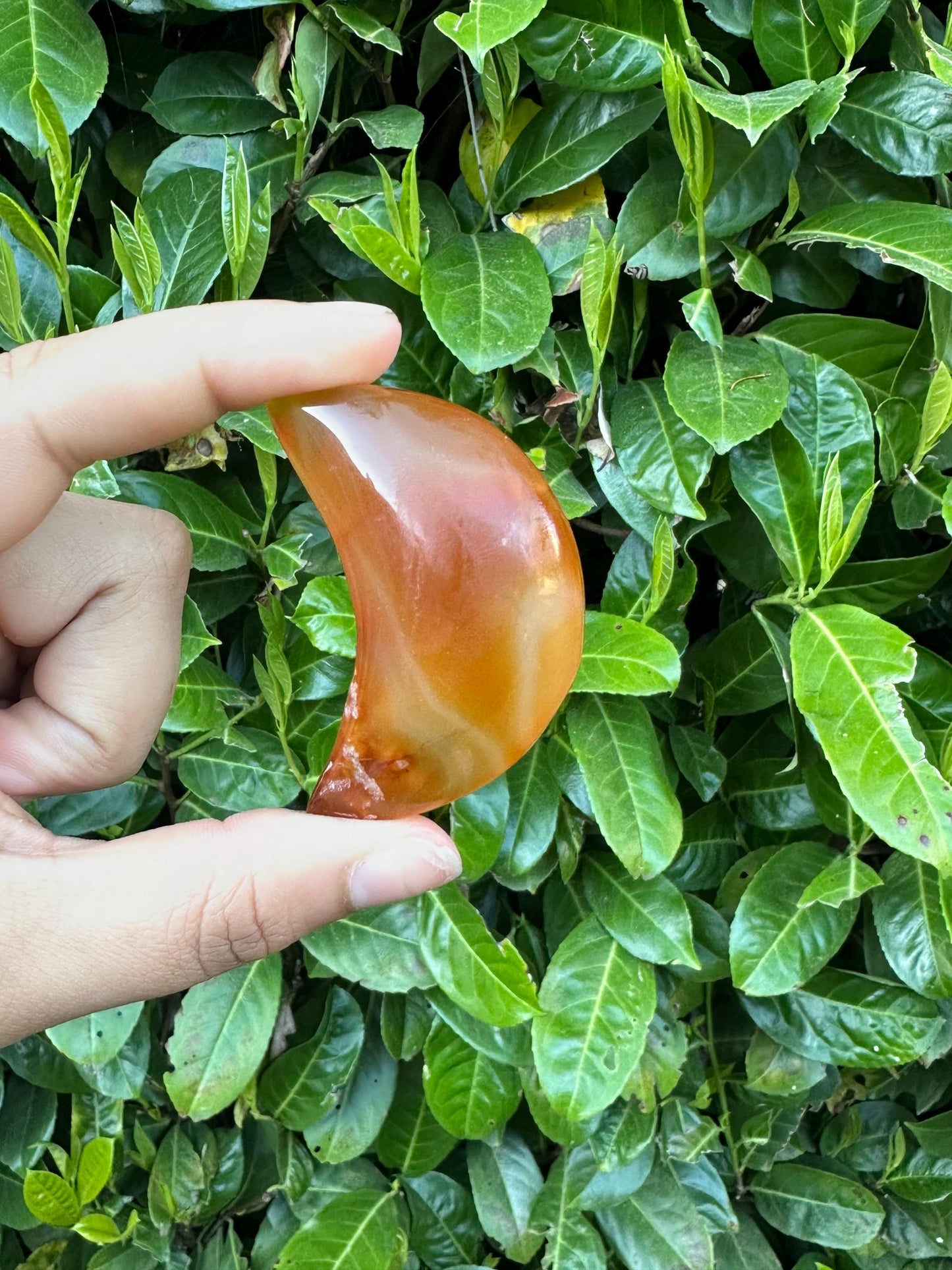 Carnelian Puffy Crescent Moon Crystal Carving