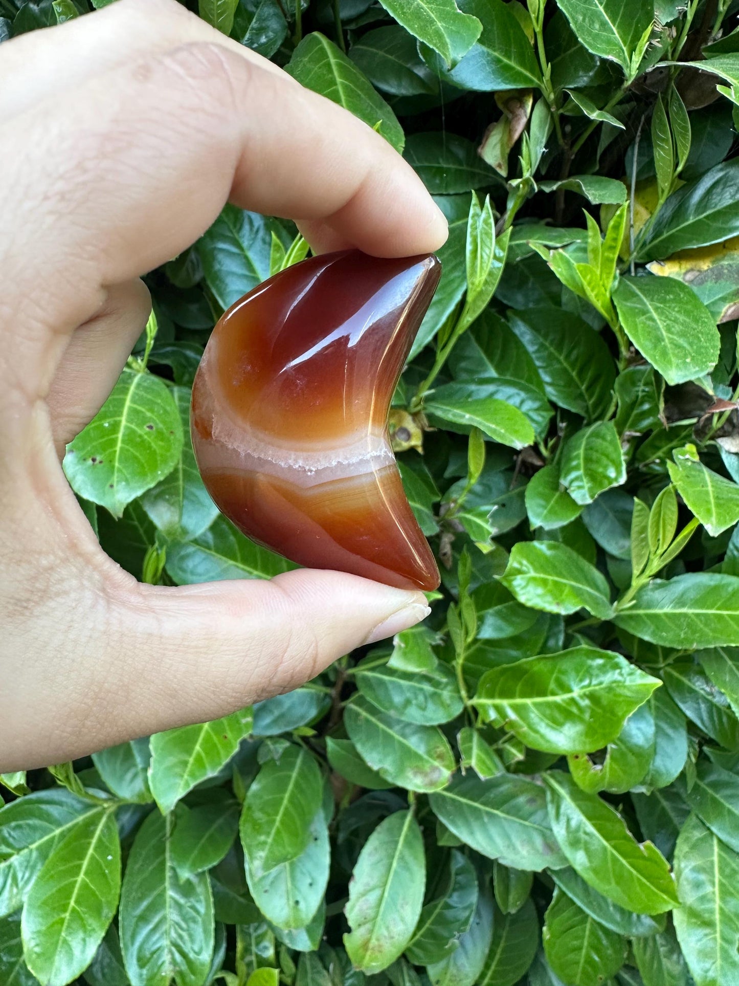 Carnelian Puffy Crescent Moon Crystal Carving