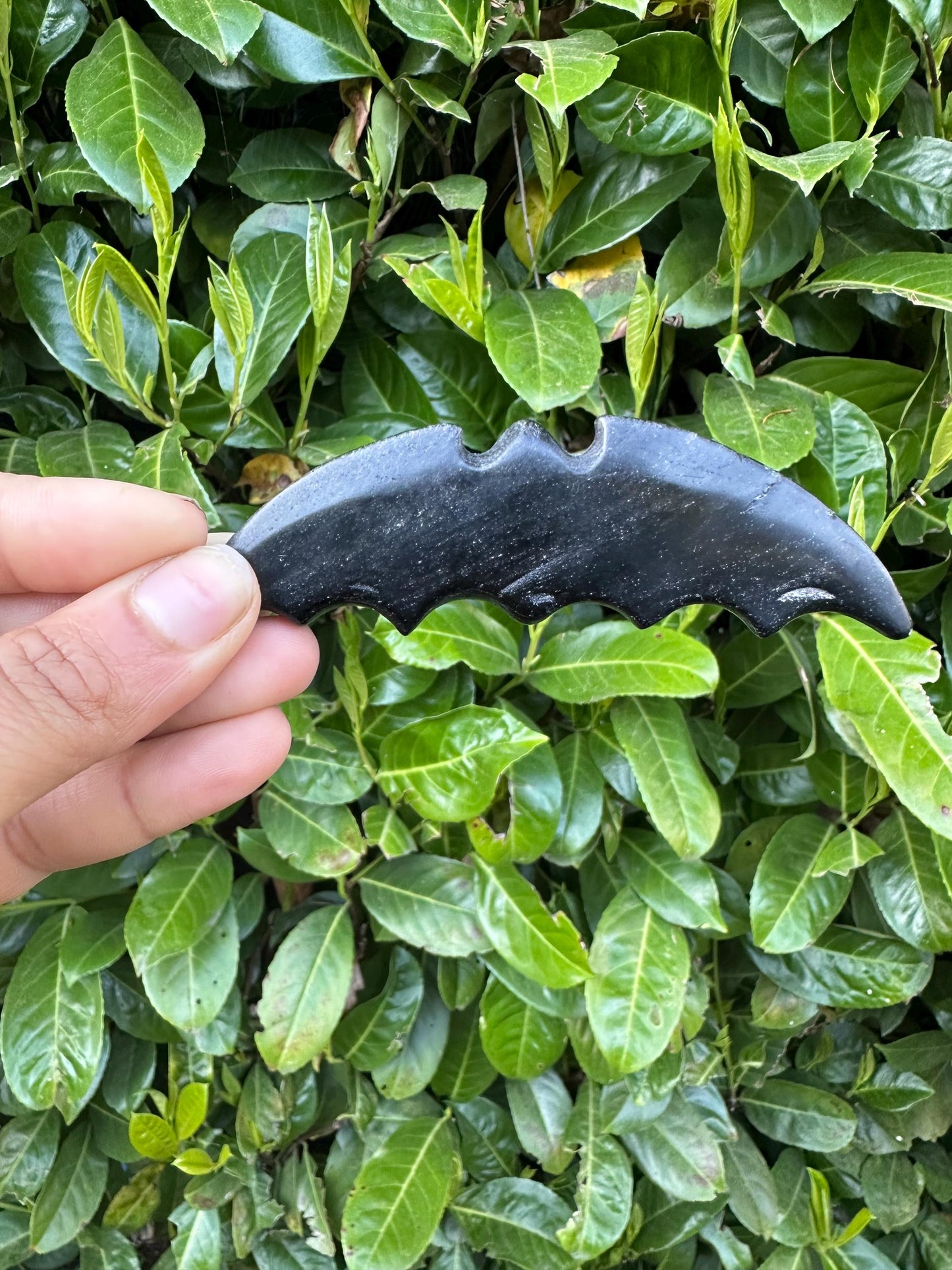 Black Obsidian Bat Crystal Carving