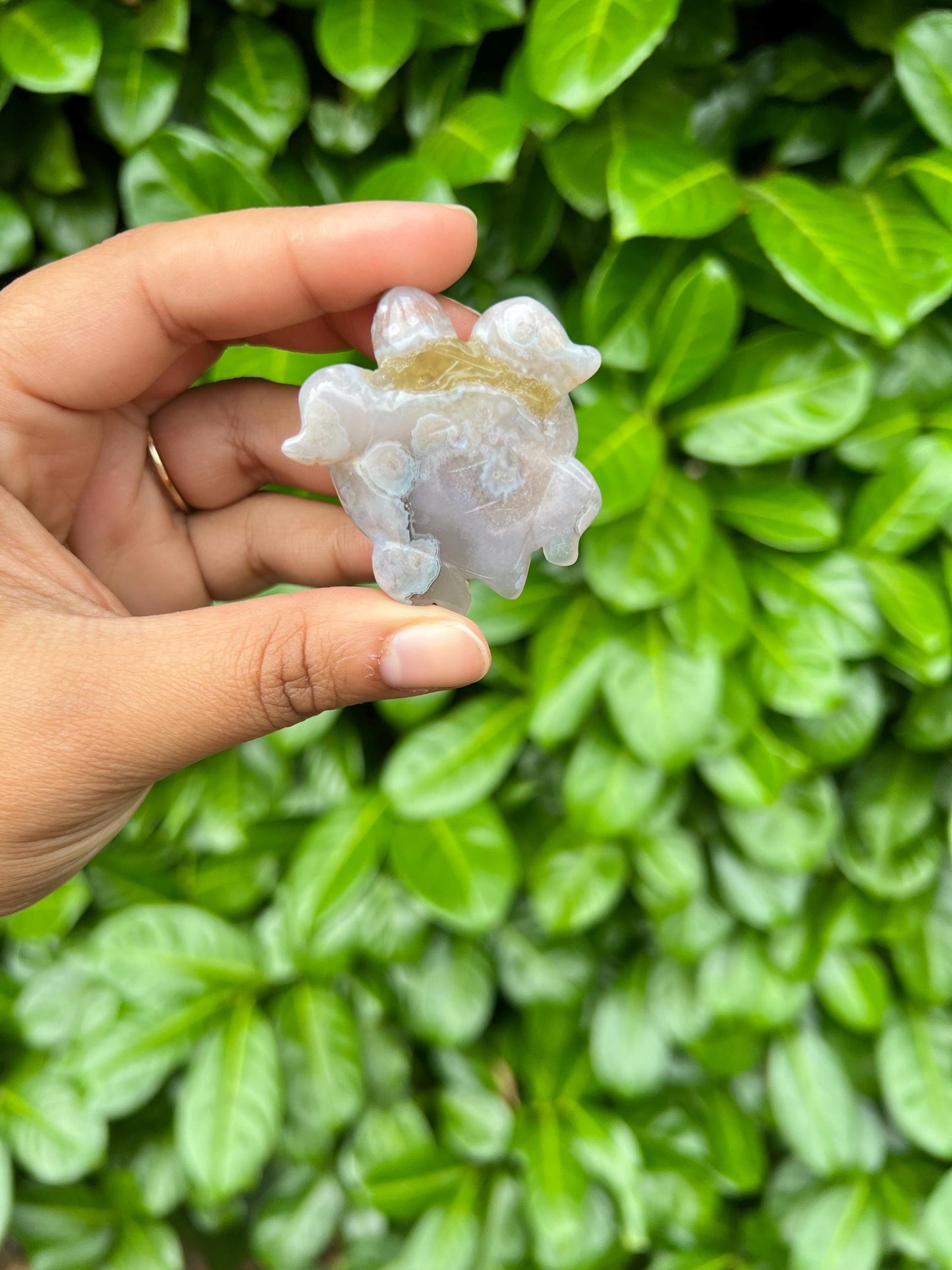 Flower Agate Turtle Crystal Carving