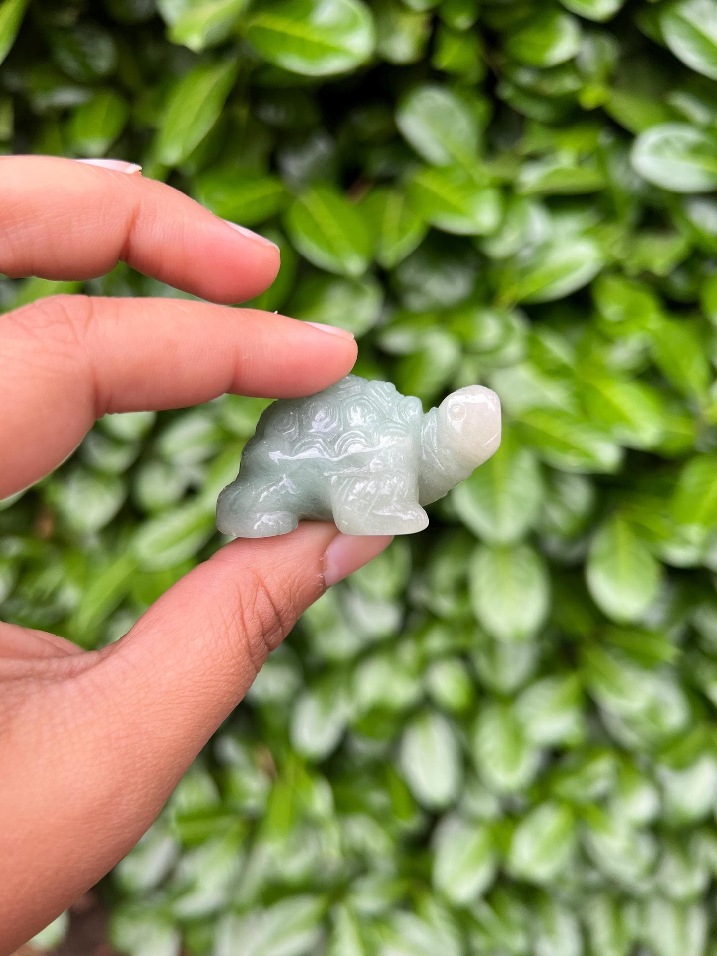Green Jade Turtle Crystal Carving