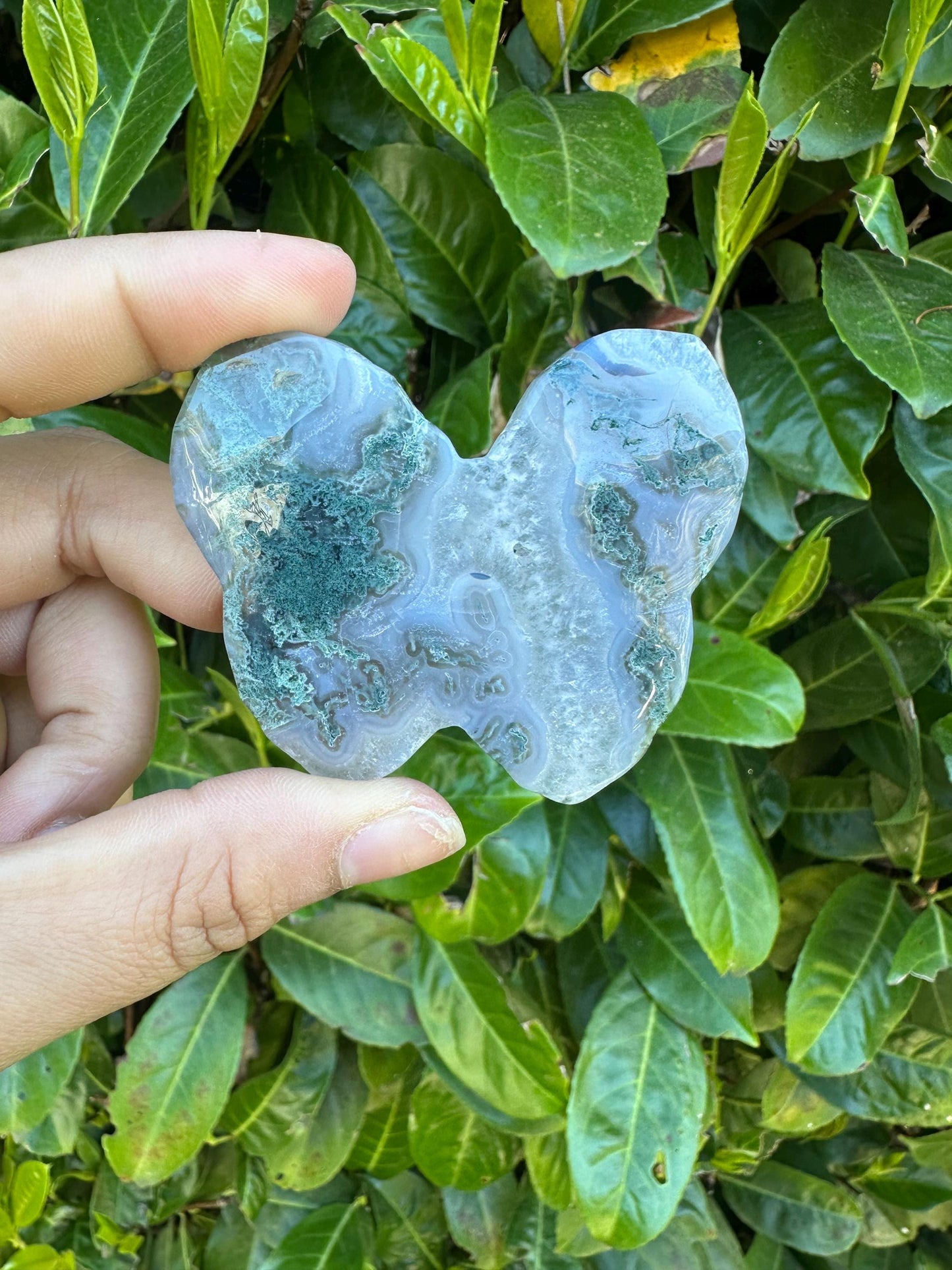 Moss Agate Butterfly Crystal Carving