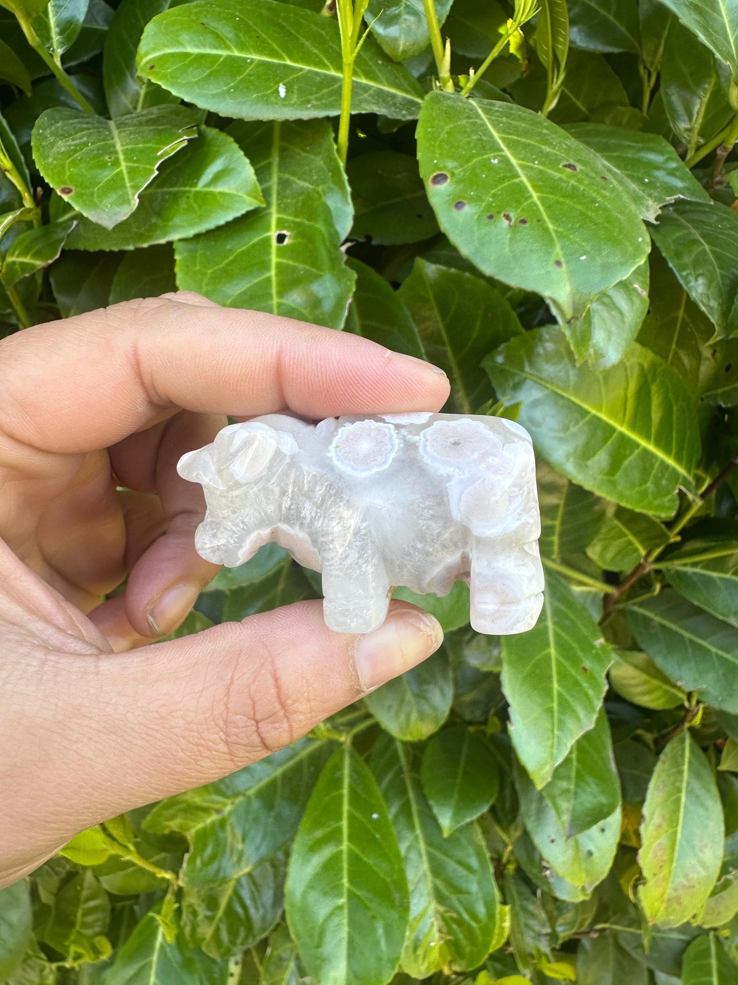 Flower Agate Bull Crystal Carving