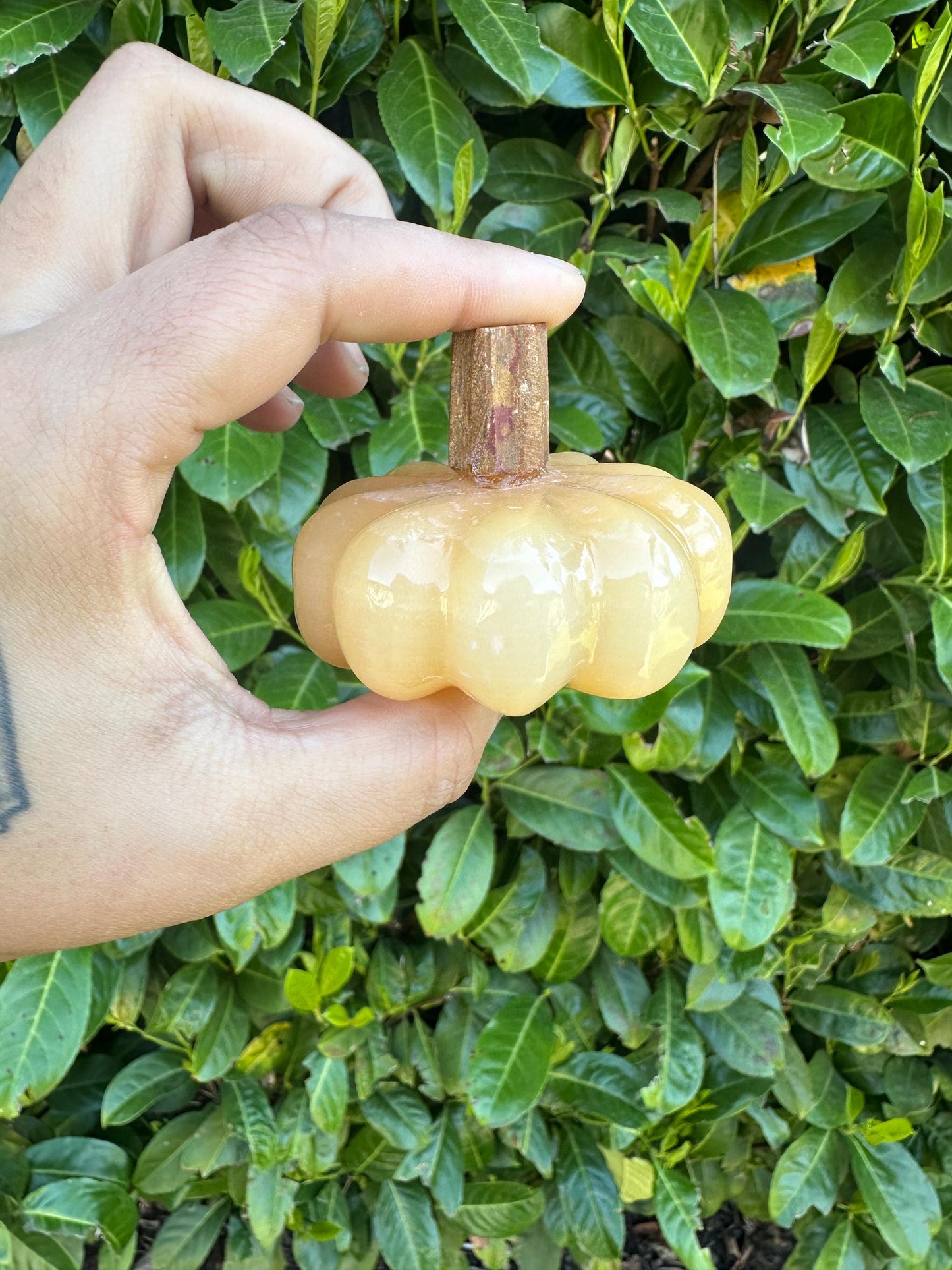 Mexican Onyx Pumpkin Carvings