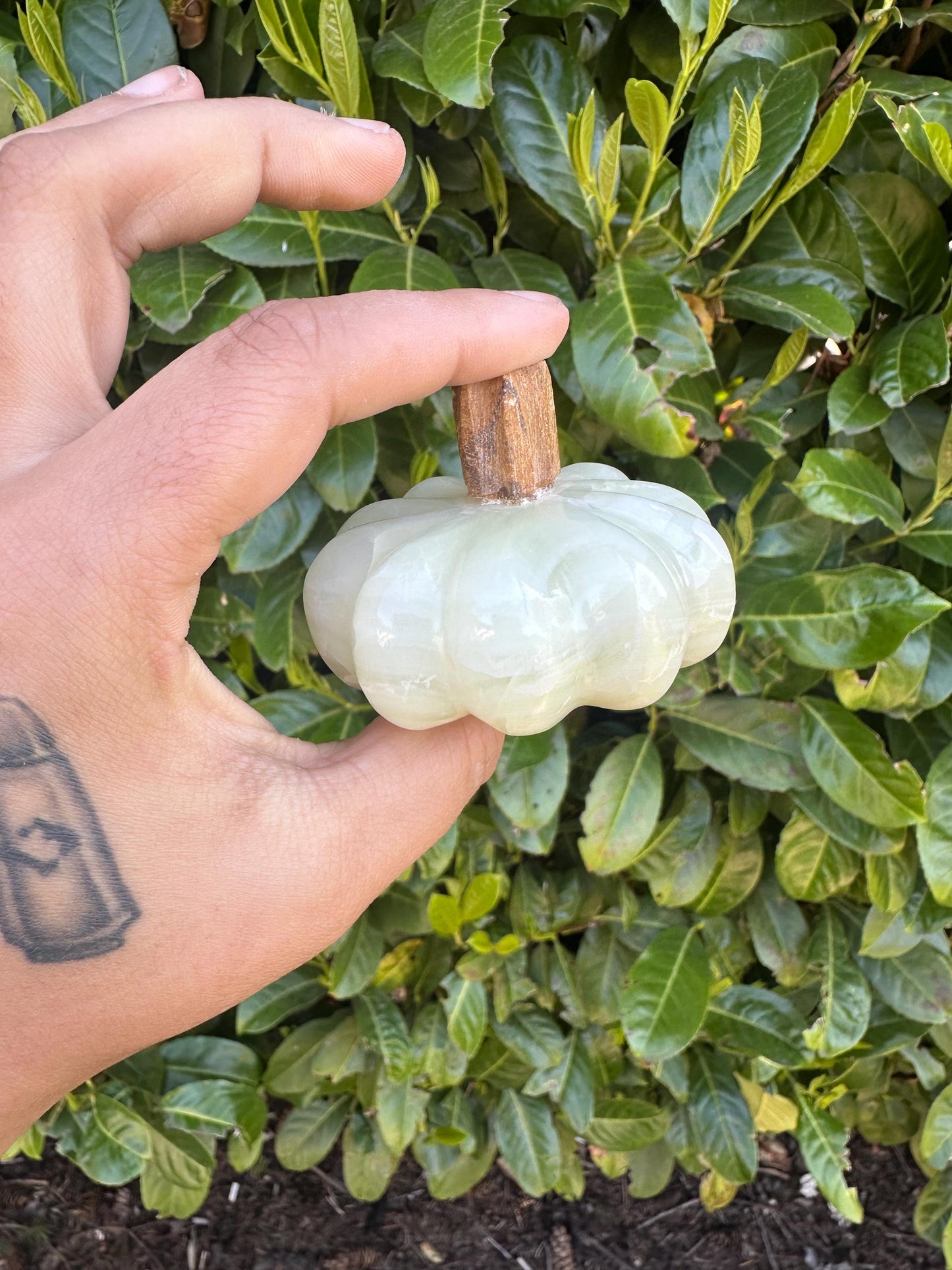 Mexican Onyx Pumpkin Carvings