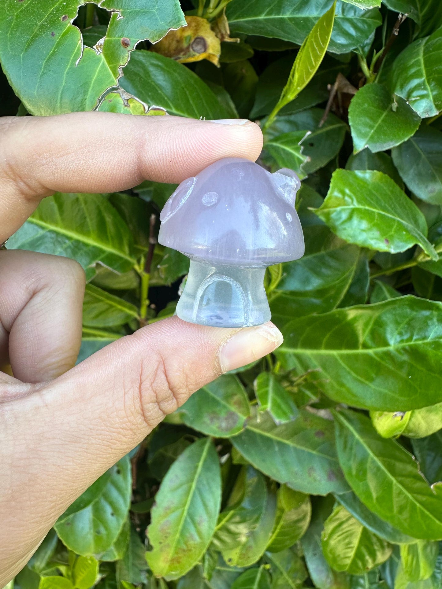 Mini Mushroom Cottage House Crystal Carving