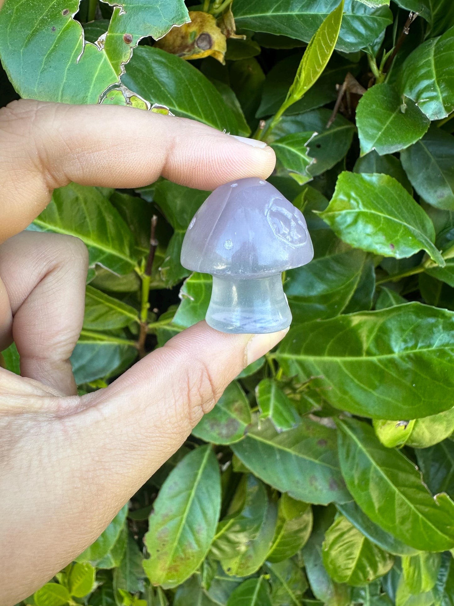 Mini Mushroom Cottage House Crystal Carving