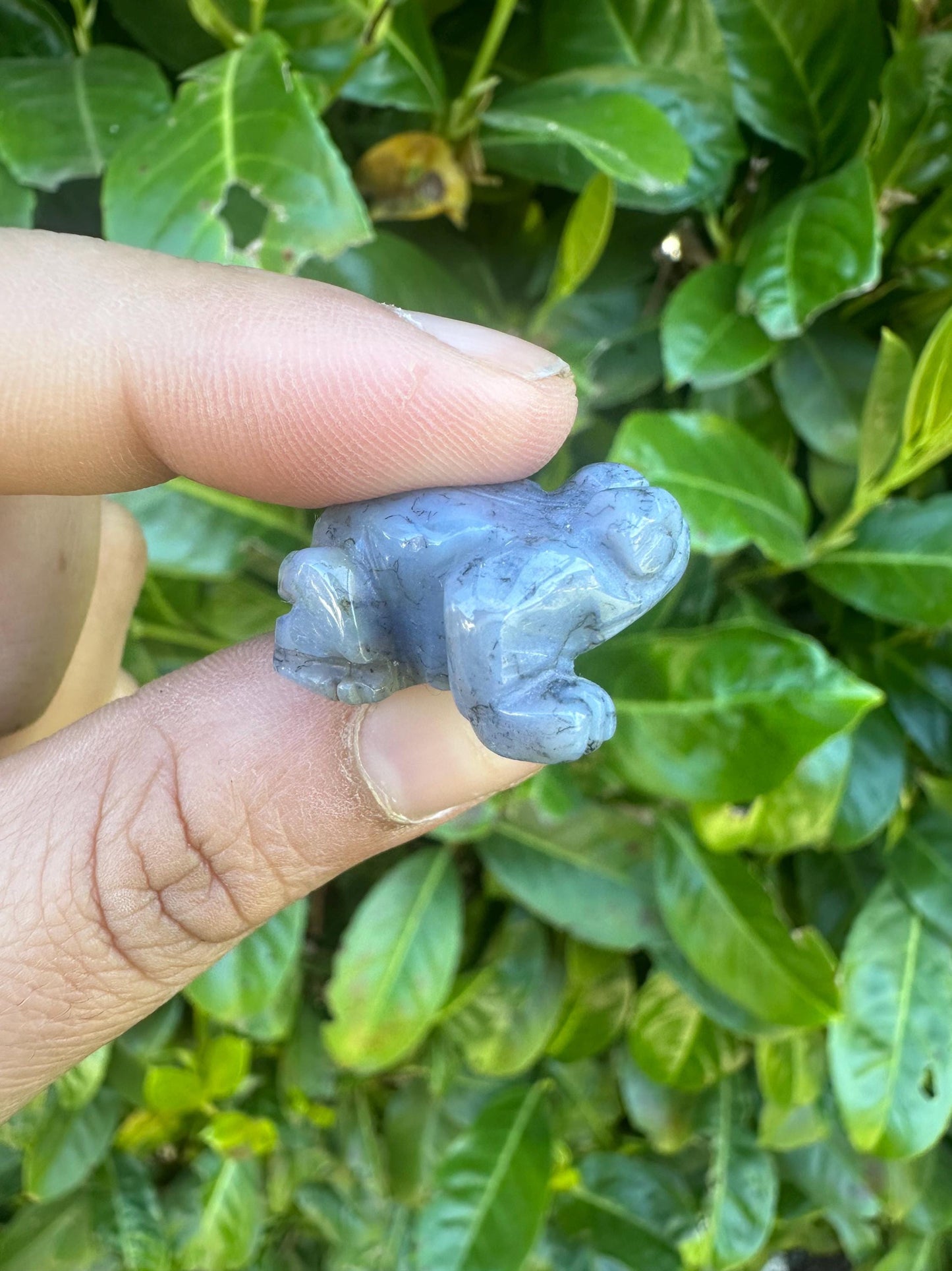 Mini Frog Crystal Carvings