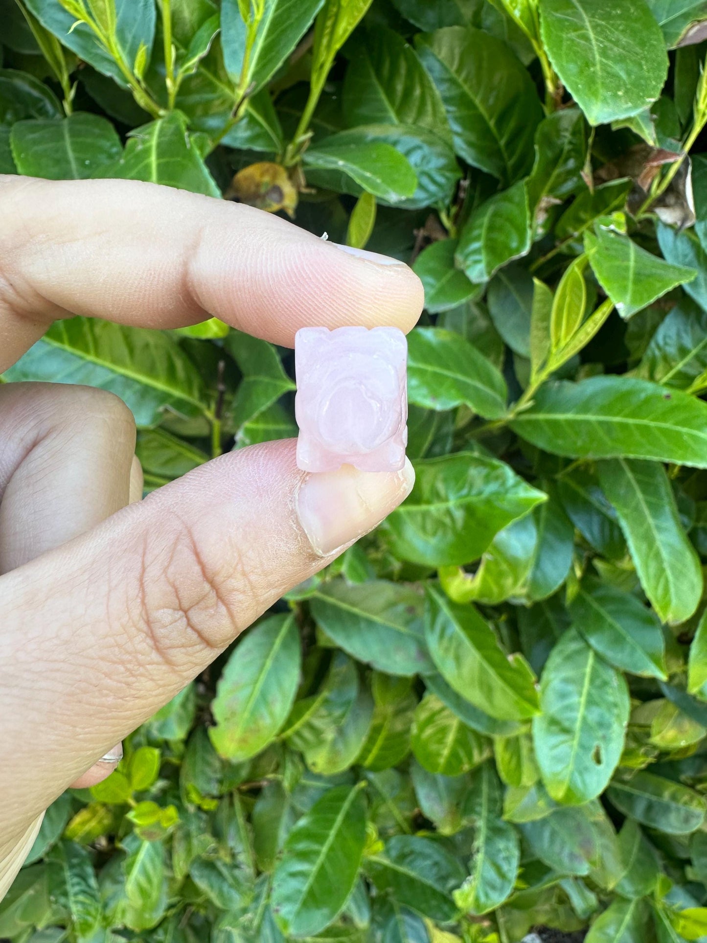 Mini Rose Quartz Pig Crystal Carvings