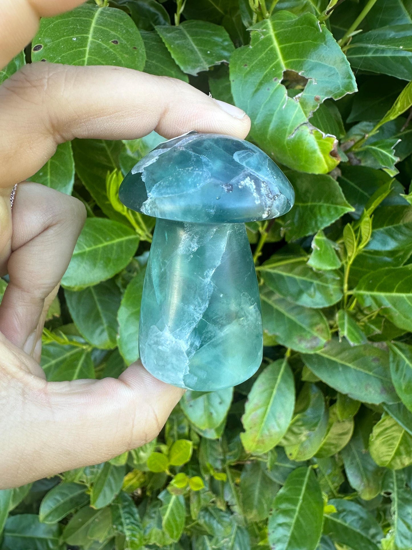 Rainbow Flourite Mushroom Crystal Carving