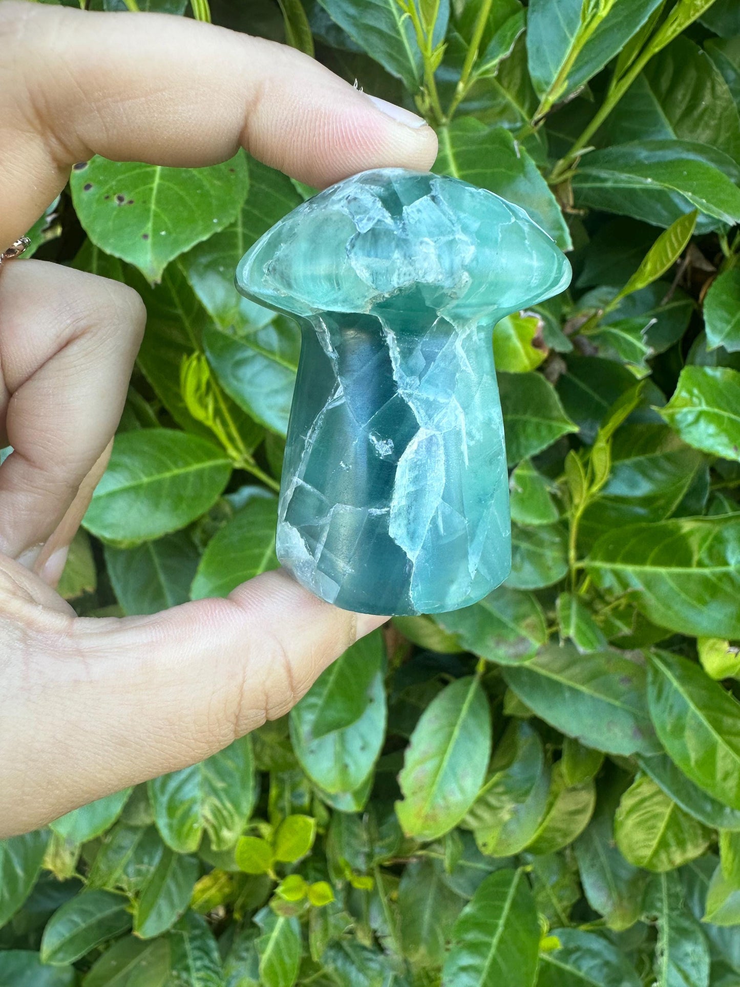 Rainbow Flourite Mushroom Crystal Carving