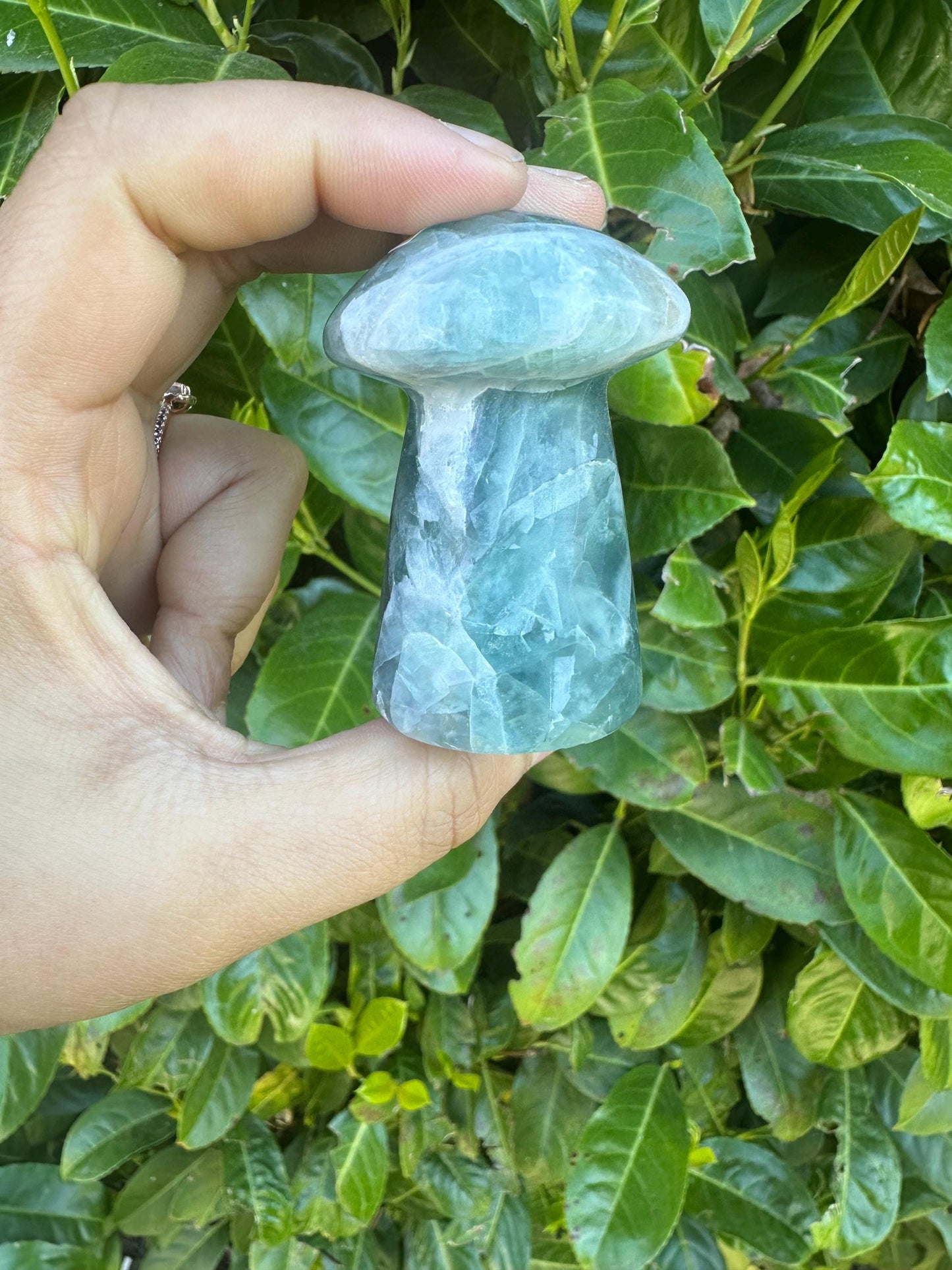 Rainbow Flourite Mushroom Crystal Carving