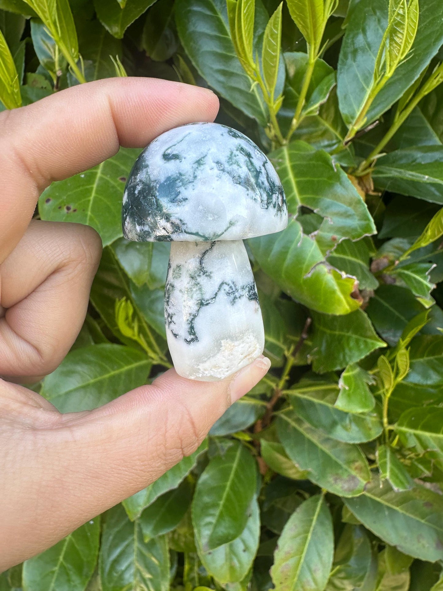 Moss Agate Mushroom Crystal Carving