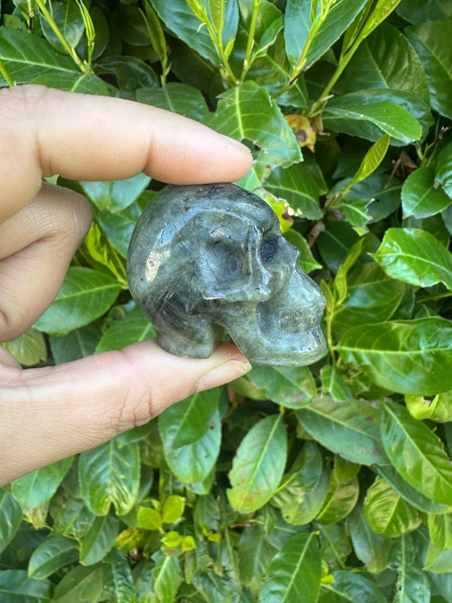 Skull Crystal Carvings