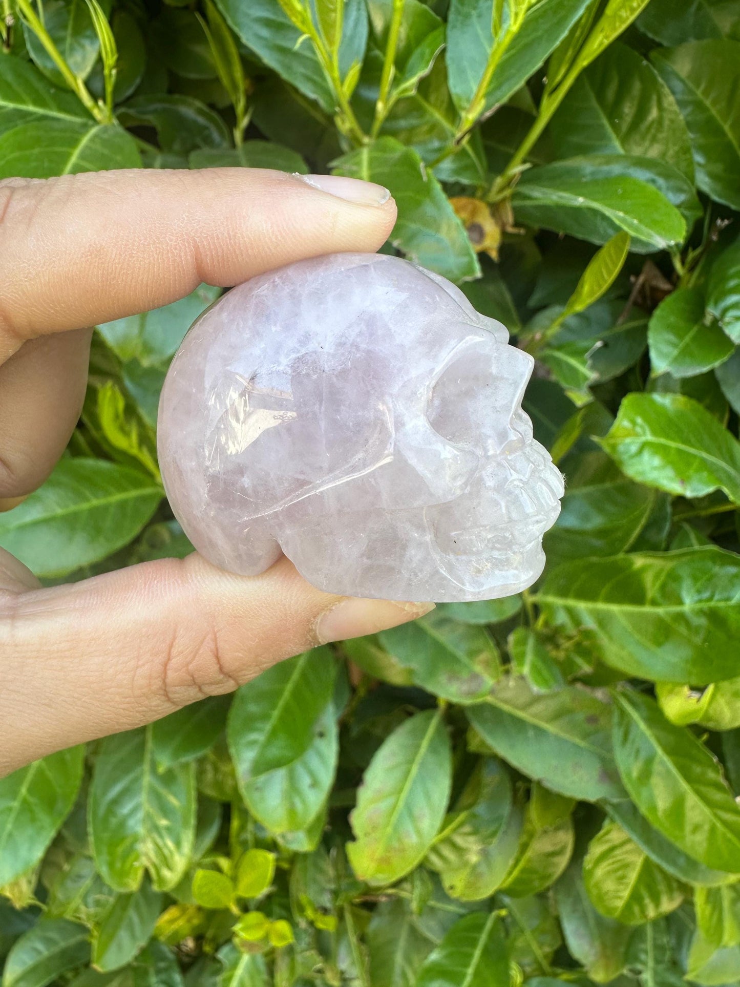 Skull Crystal Carvings