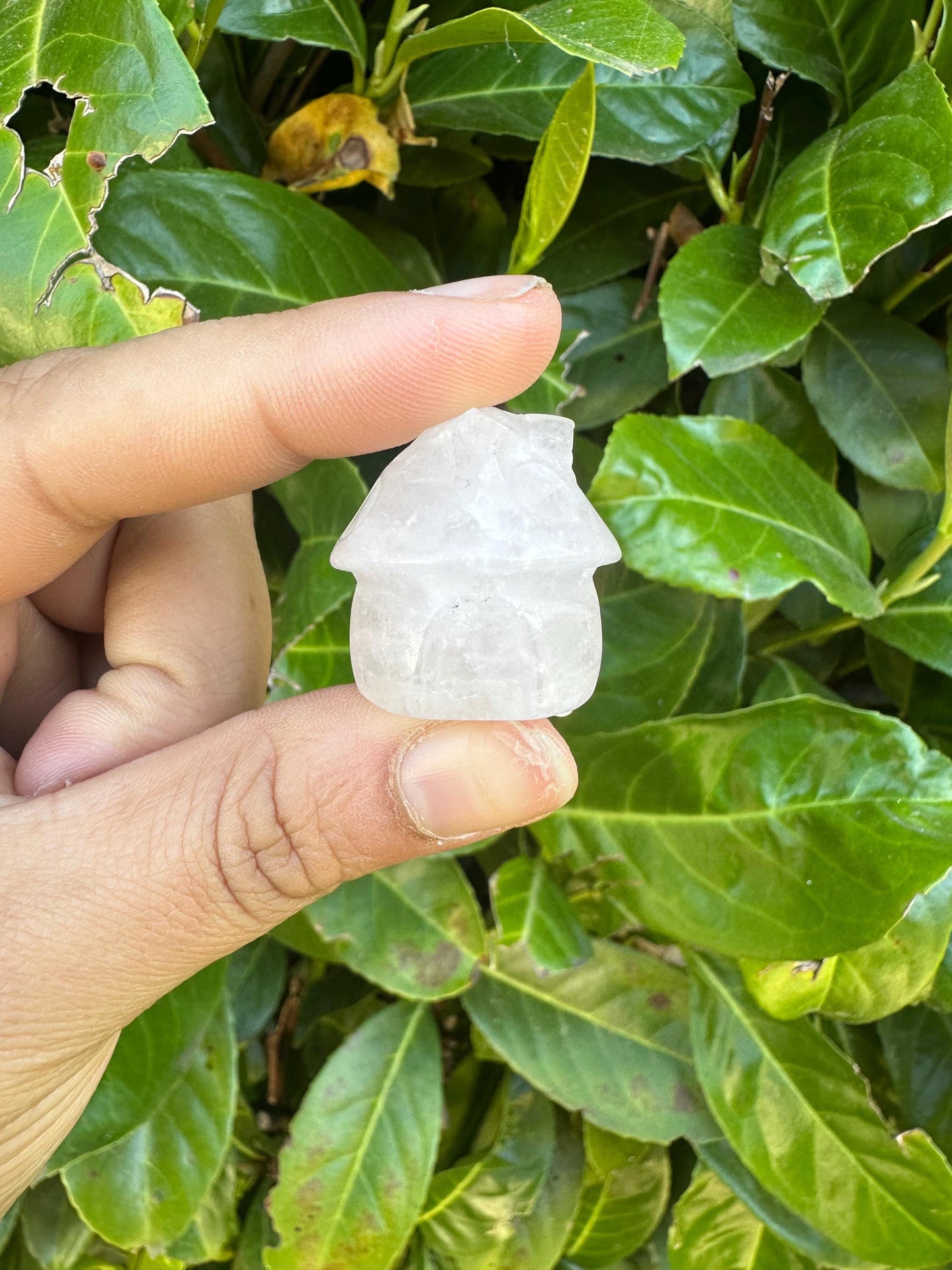 Mini Cottage Crystal Carvings