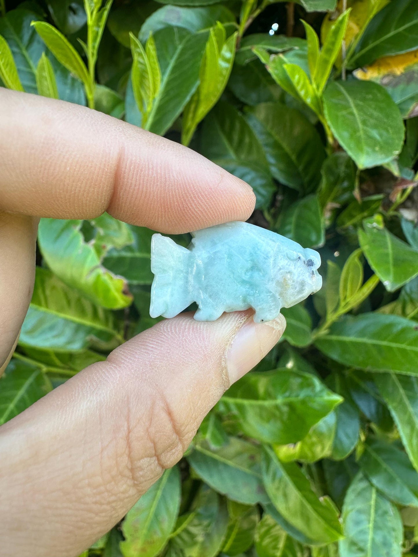 Mini Larimar Fish Crystal Carving