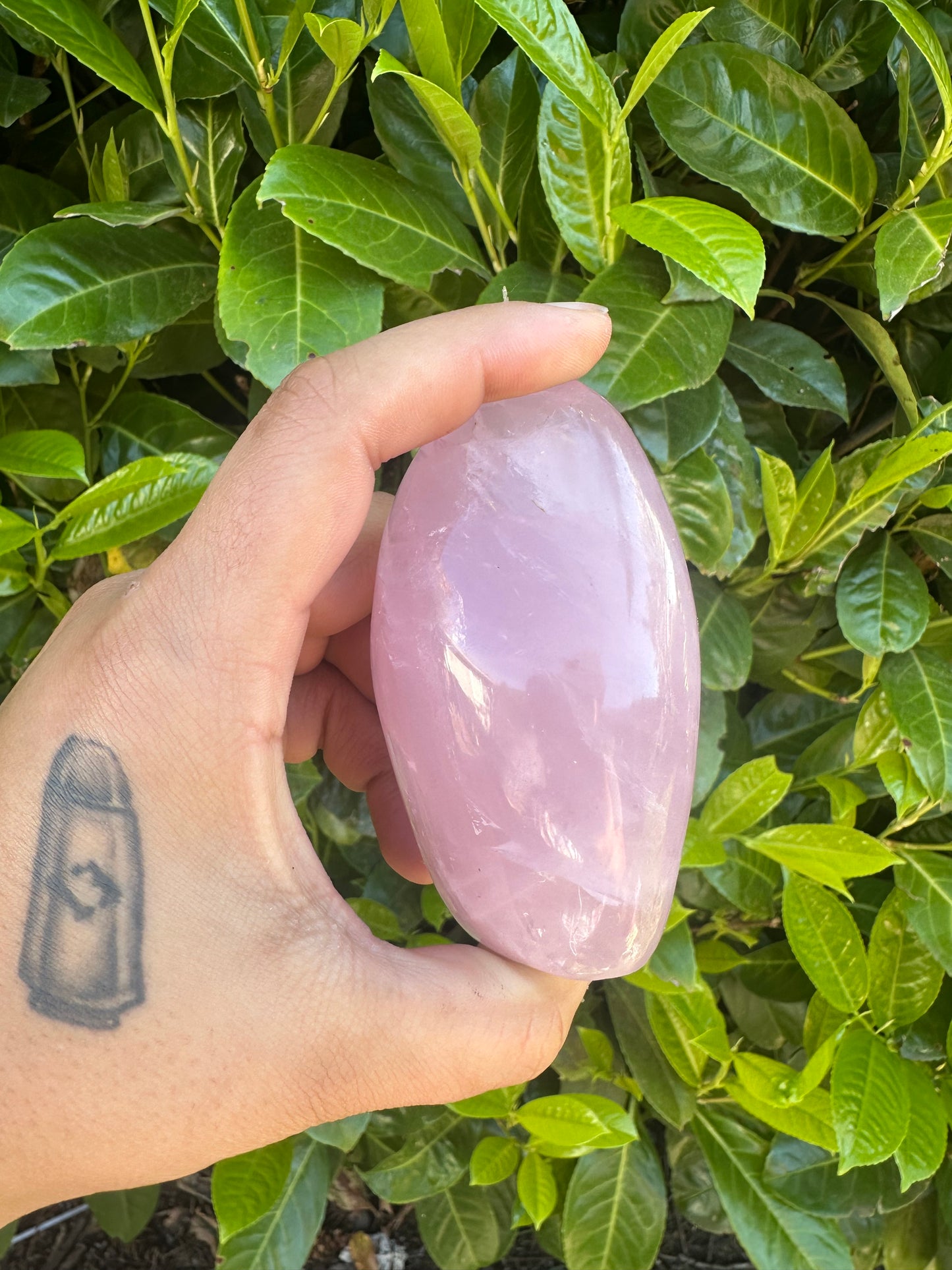 Rose Quartz Freeform Crystal Carving