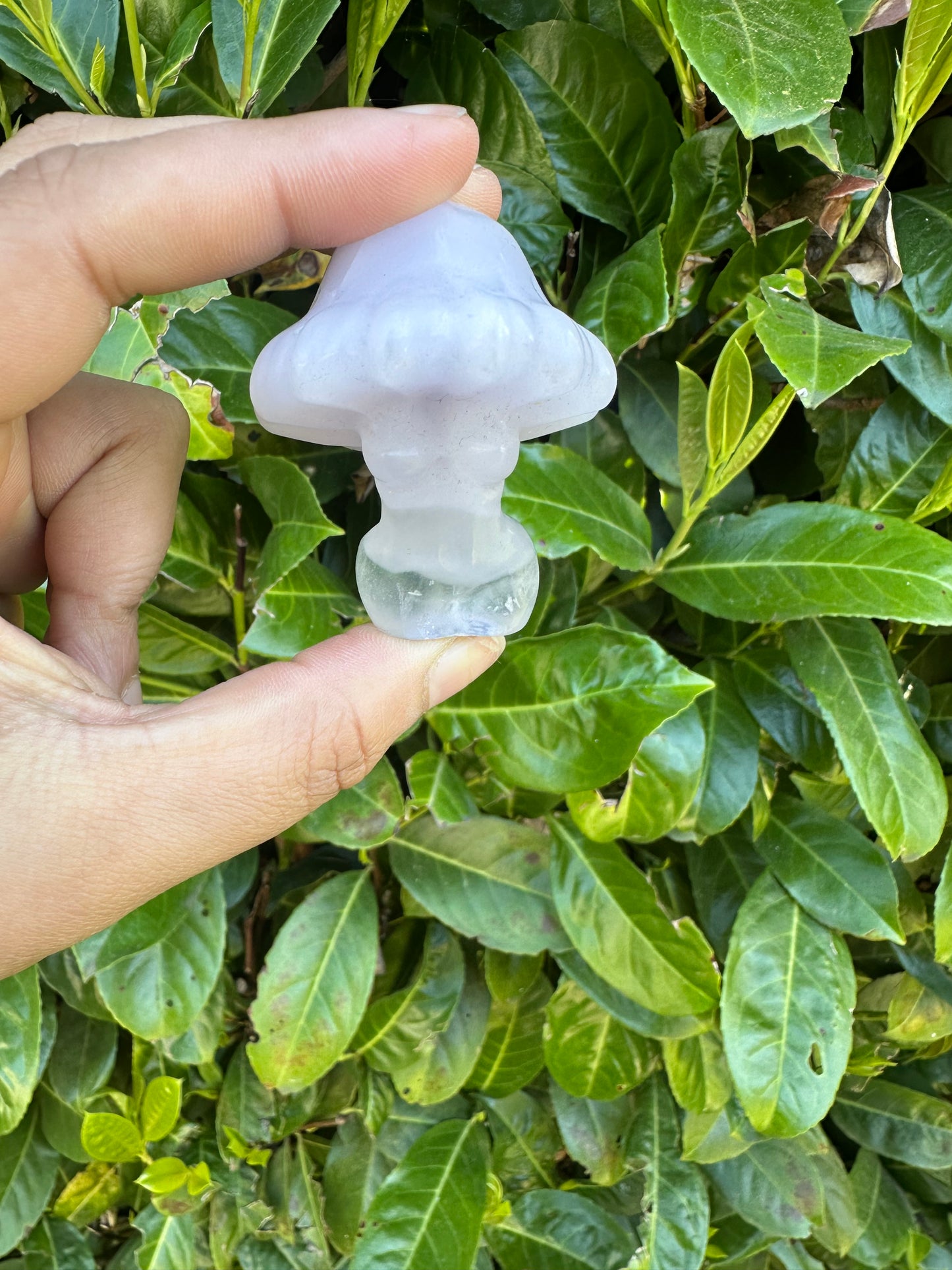 Mushroom Head Goddess Women Body Carving