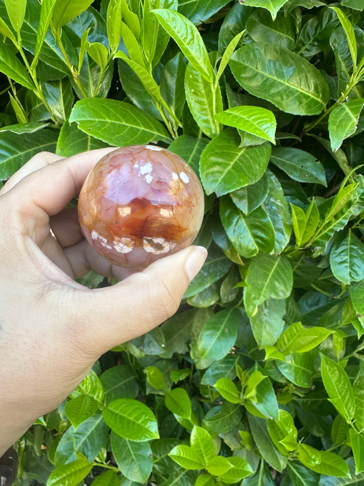 Carnelian Flower Agate Hybrid Crystal Sphere