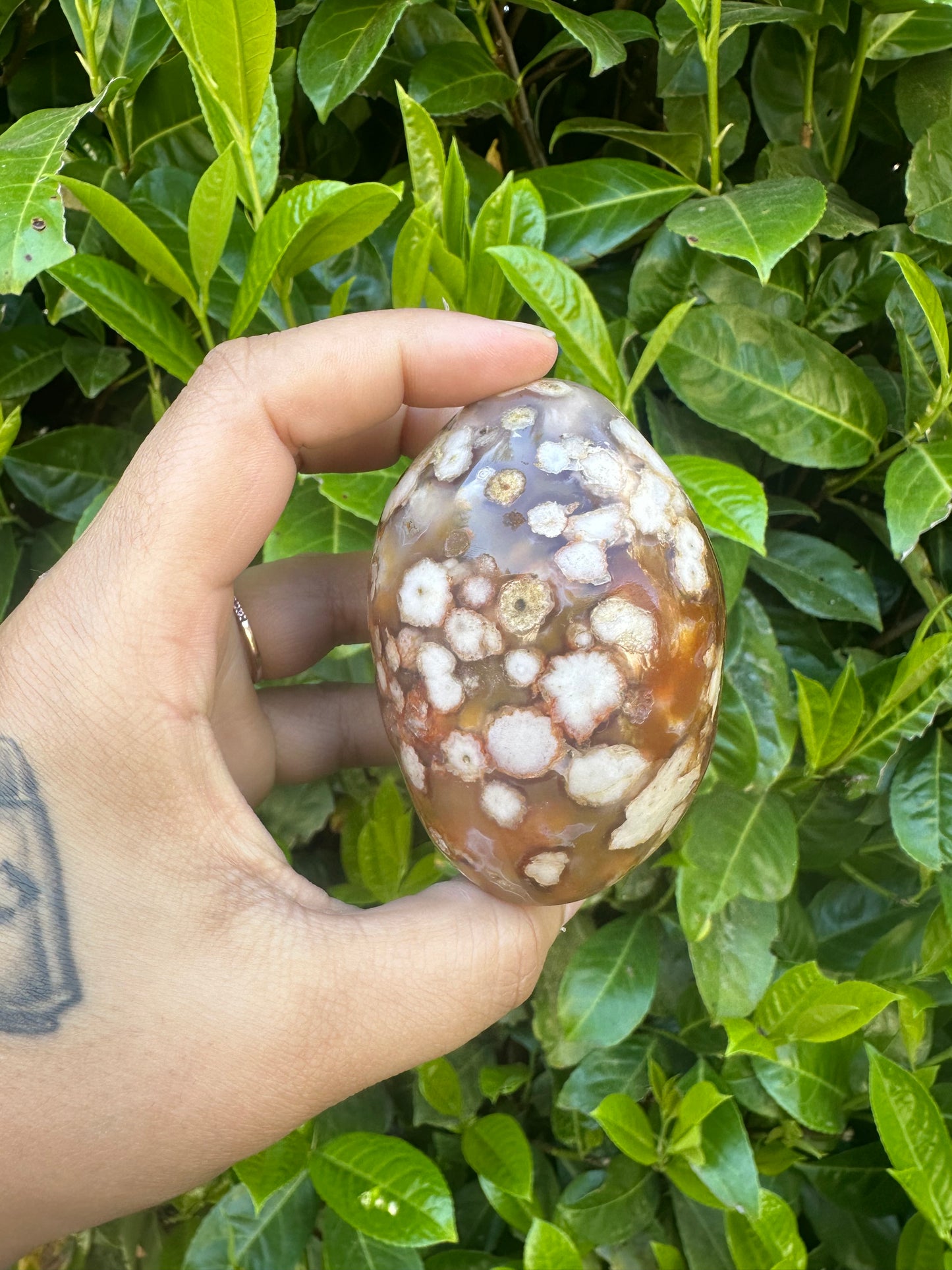 Carnelian Flower Agate Hybrid Freeform Crystal Carving