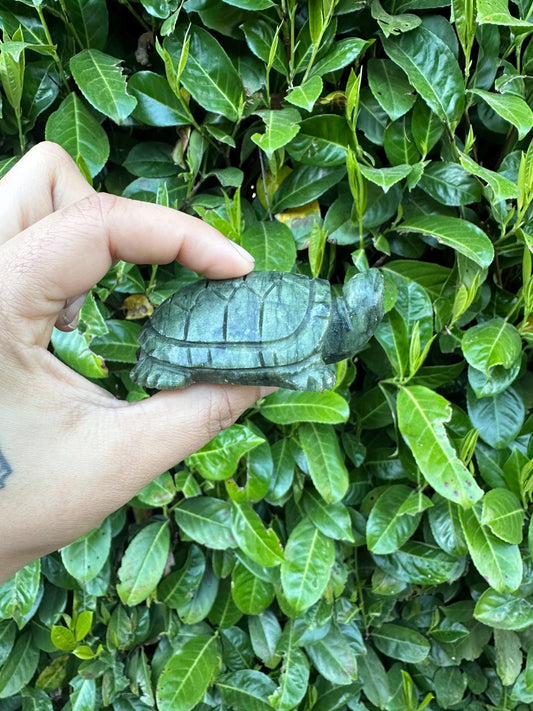 Serpentine Jade Turtle Crystal Carving