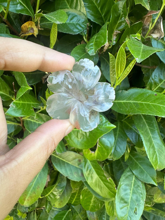 Flower Agate Sakura Flower Crystal Carving