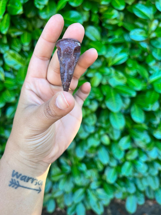 Raven Skull Crystal Carving