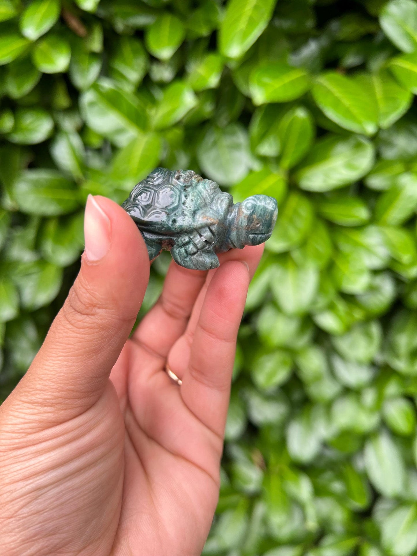 Green Jade Turtle Crystal Carving