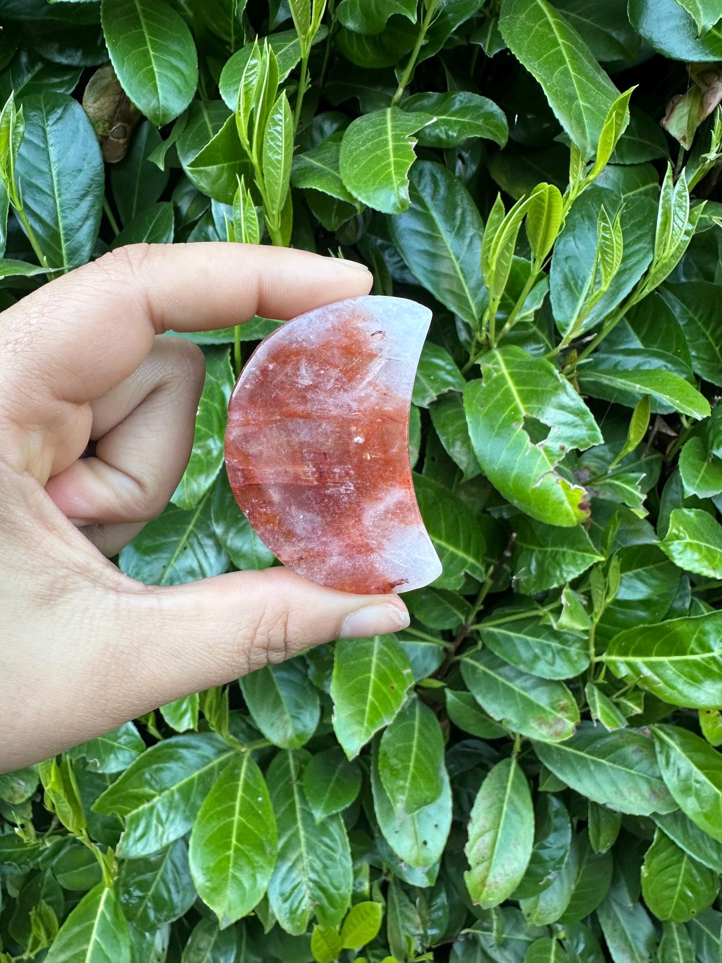 Fire Quartz Small Crescent Moon Bowl Carving