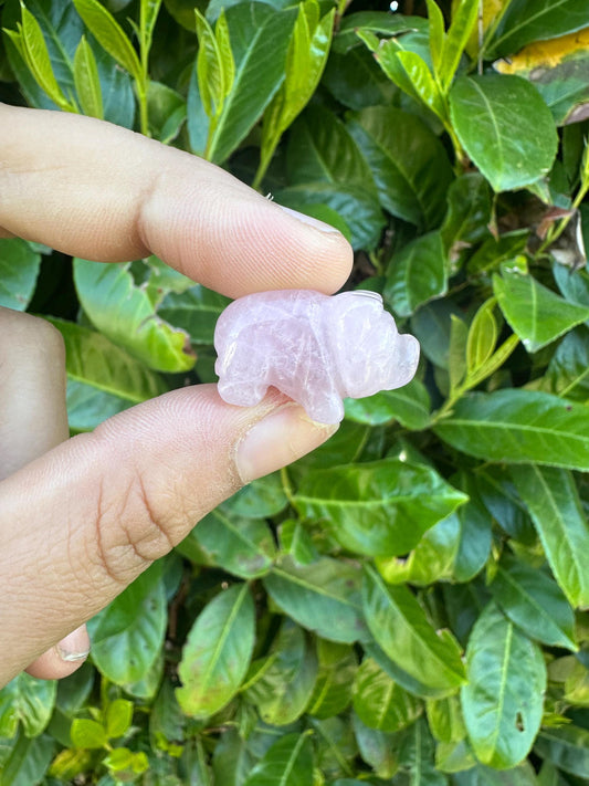 Mini Rose Quartz Pig Crystal Carvings