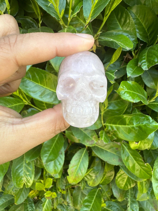 Skull Crystal Carvings