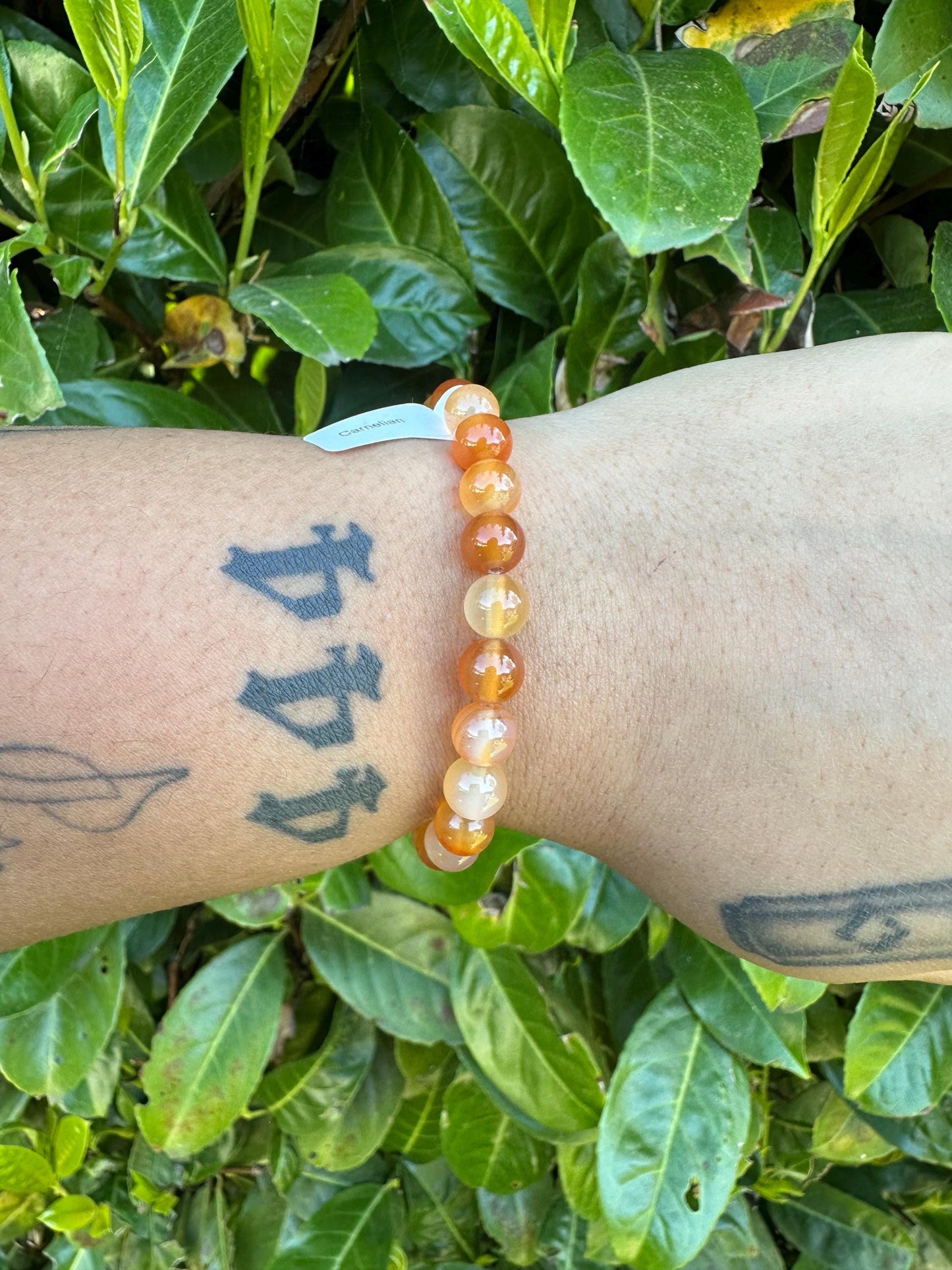 Beaded Crystal Bracelets