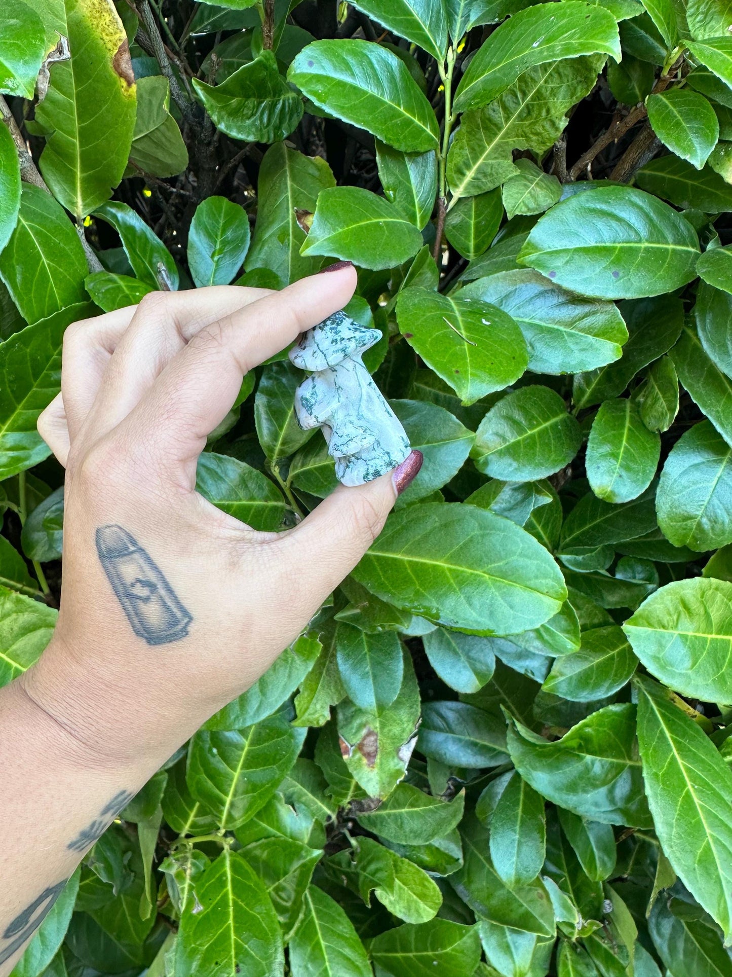 Tree Agate Mushroom Trio Crystal Carving