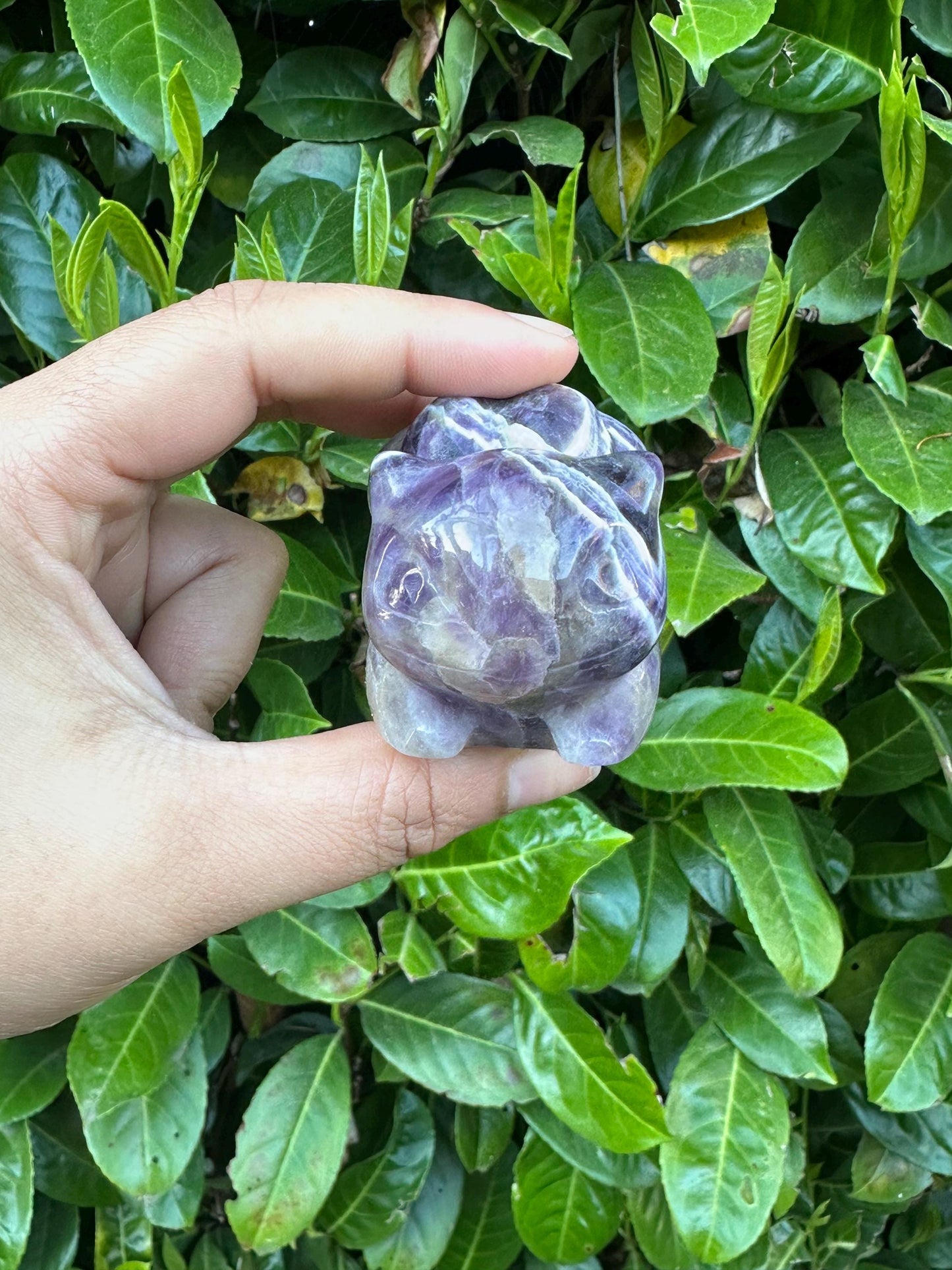Dream Chevron Amethyst Bulbasaur Crystal Carving