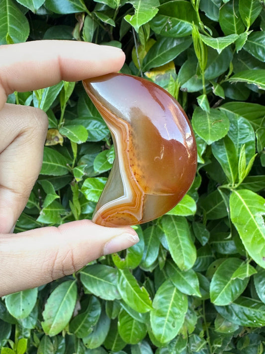 Carnelian Puffy Crescent Moon Crystal Carving