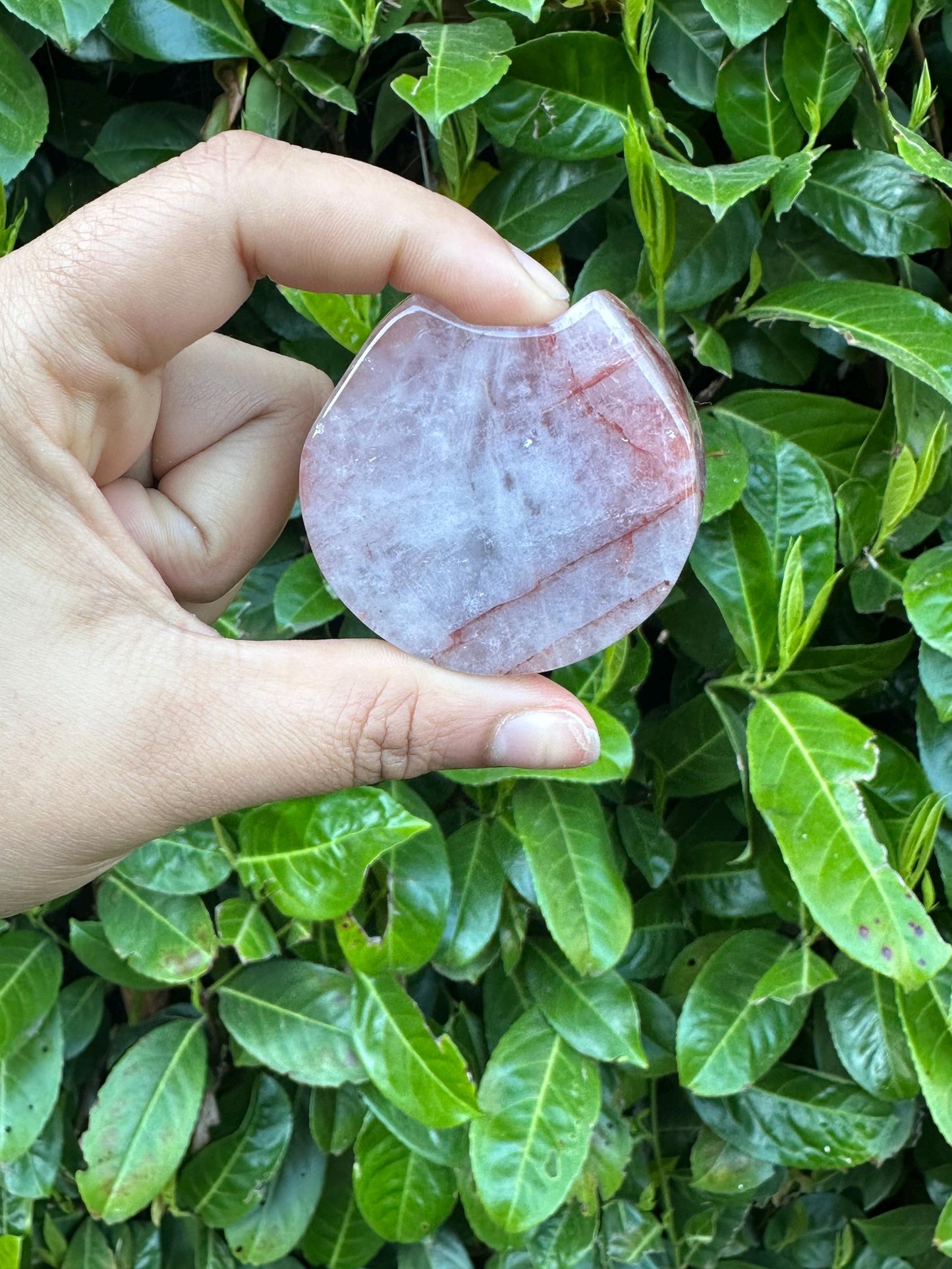Fire Quartz Cat Bowl Crystal Carving