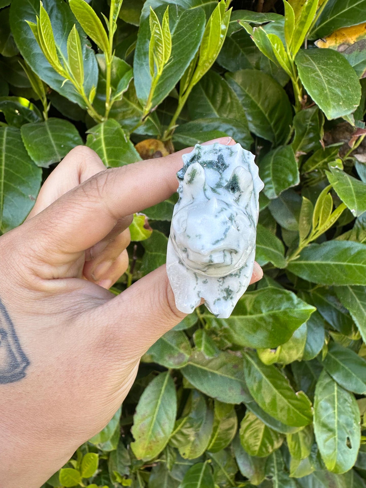 Moss Agate Triceratops Crystal Carving