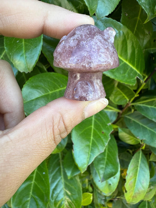 Mini Mushroom Cottage House Crystal Carving