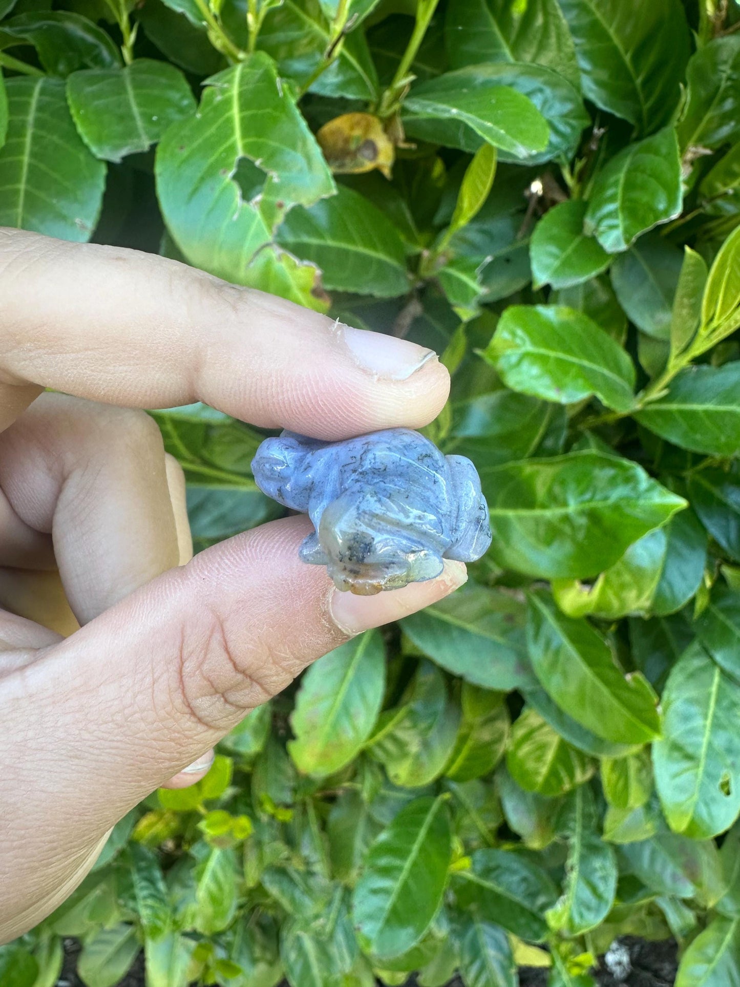 Mini Frog Crystal Carvings