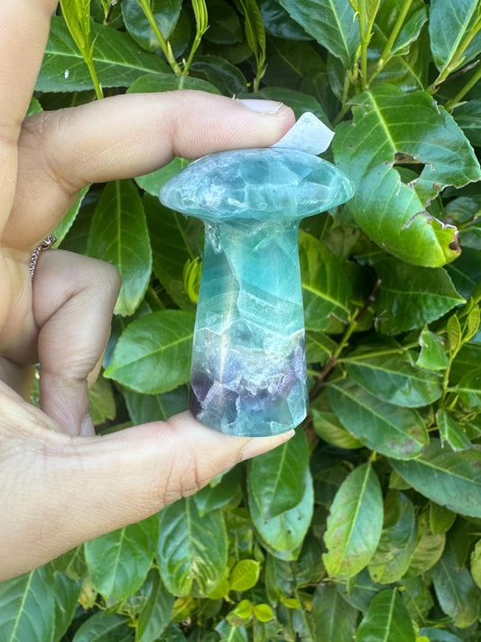 Rainbow Flourite Mushroom Crystal Carving